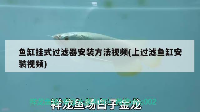 魚缸掛式過濾器安裝方法視頻(上過濾魚缸安裝視頻)