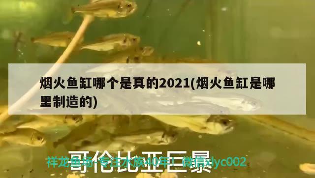 煙火魚缸哪個(gè)是真的2021(煙火魚缸是哪里制造的)