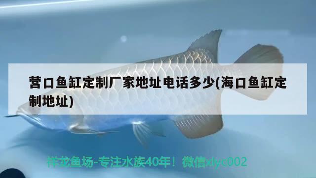 營口魚缸定制廠家地址電話多少(?？隰~缸定制地址)