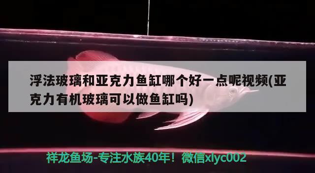 浮法玻璃和亞克力魚缸哪個(gè)好一點(diǎn)呢視頻(亞克力有機(jī)玻璃可以做魚缸嗎) 觀賞魚飼料