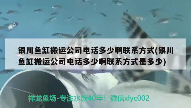 銀川魚缸搬運(yùn)公司電話多少啊聯(lián)系方式(銀川魚缸搬運(yùn)公司電話多少啊聯(lián)系方式是多少)