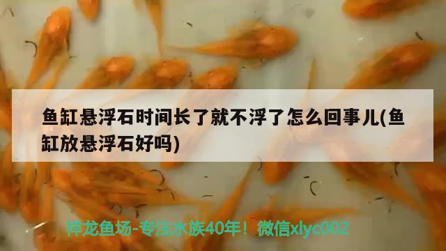 魚缸懸浮石時間長了就不浮了怎么回事兒(魚缸放懸浮石好嗎)