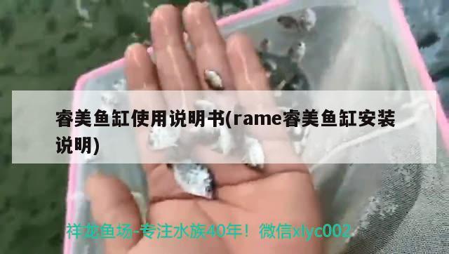 睿美魚缸使用說明書(rame睿美魚缸安裝說明) 印尼四紋虎