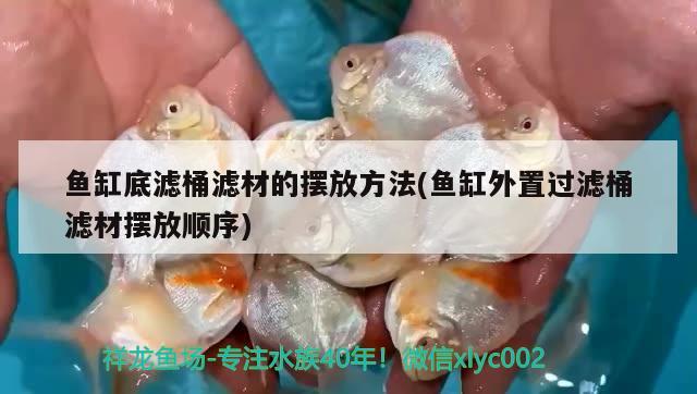 魚缸底濾桶濾材的擺放方法(魚缸外置過濾桶濾材擺放順序) 金三間魚