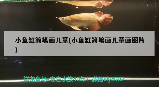 小魚缸簡(jiǎn)筆畫兒童(小魚缸簡(jiǎn)筆畫兒童畫圖片)