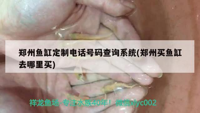 鄭州魚缸定制電話號碼查詢系統(tǒng)(鄭州買魚缸去哪里買)