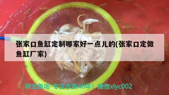 張家口魚缸定制哪家好一點(diǎn)兒的(張家口定做魚缸廠家)