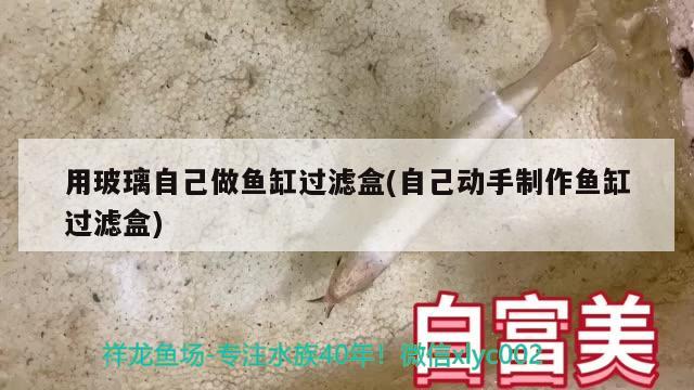 用玻璃自己做魚缸過濾盒(自己動(dòng)手制作魚缸過濾盒) 福滿鉆魚