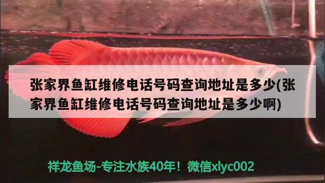 張家界魚缸維修電話號碼查詢地址是多少(張家界魚缸維修電話號碼查詢地址是多少啊) 魚缸清潔用具