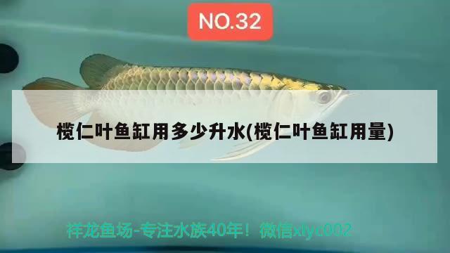 欖仁葉魚(yú)缸用多少升水(欖仁葉魚(yú)缸用量)