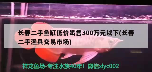 長春二手魚缸低價(jià)出售300萬元以下(長春二手漁具交易市場) 名貴錦鯉魚