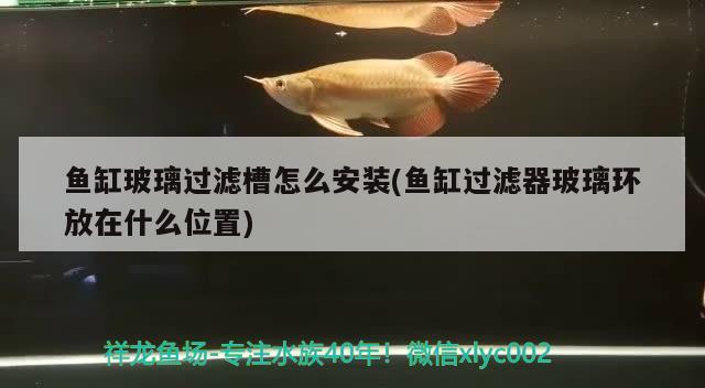 魚缸玻璃過濾槽怎么安裝(魚缸過濾器玻璃環(huán)放在什么位置)