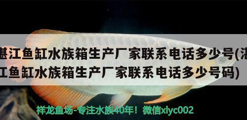 湛江魚缸水族箱生產(chǎn)廠家聯(lián)系電話多少號(hào)(湛江魚缸水族箱生產(chǎn)廠家聯(lián)系電話多少號(hào)碼)