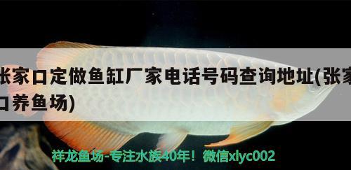 張家口定做魚缸廠家電話號碼查詢地址(張家口養(yǎng)魚場) PH調(diào)節(jié)劑