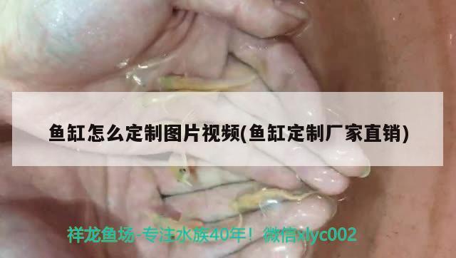 魚缸怎么定制圖片視頻(魚缸定制廠家直銷)