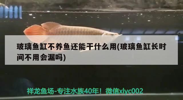 玻璃魚缸不養(yǎng)魚還能干什么用(玻璃魚缸長時(shí)間不用會(huì)漏嗎) 刀魚魚