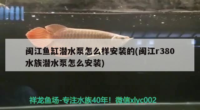 閩江魚缸潛水泵怎么樣安裝的(閩江r380水族潛水泵怎么安裝) 魚缸清潔用具