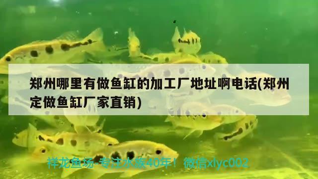 鄭州哪里有做魚缸的加工廠地址啊電話(鄭州定做魚缸廠家直銷) 雪龍魚