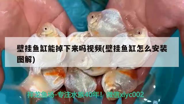 壁掛魚(yú)缸能掉下來(lái)嗎視頻(壁掛魚(yú)缸怎么安裝圖解)