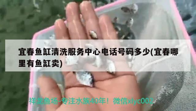 宜春魚缸清洗服務(wù)中心電話號碼多少(宜春哪里有魚缸賣)