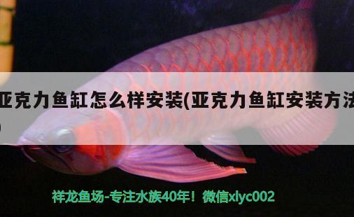 亞克力魚缸怎么樣安裝(亞克力魚缸安裝方法)