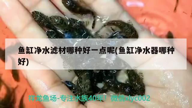 魚缸凈水濾材哪種好一點呢(魚缸凈水器哪種好) 觀賞龜/鱉飼料