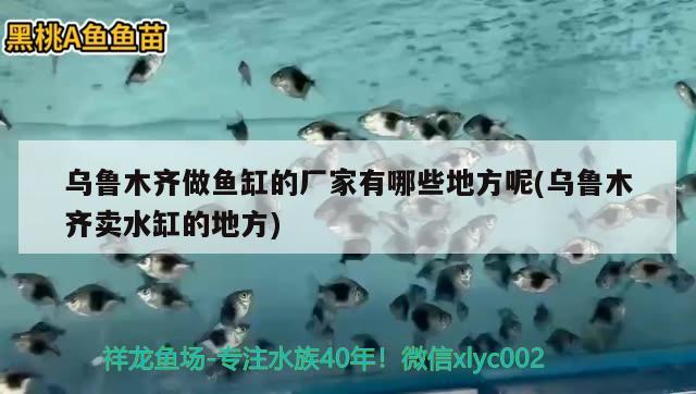 烏魯木齊做魚缸的廠家有哪些地方呢(烏魯木齊賣水缸的地方)