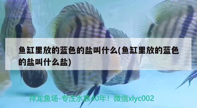 魚缸里放的藍色的鹽叫什么(魚缸里放的藍色的鹽叫什么鹽) 水族用品