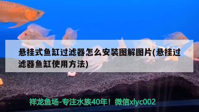 懸掛式魚缸過濾器怎么安裝圖解圖片(懸掛過濾器魚缸使用方法) 龍魚百科