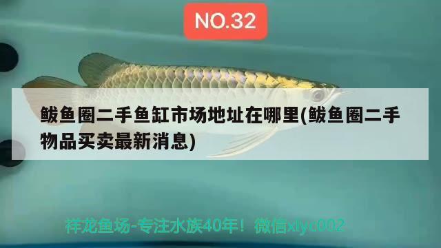 鲅魚(yú)圈二手魚(yú)缸市場(chǎng)地址在哪里(鲅魚(yú)圈二手物品買賣最新消息) 大嘴鯨魚(yú)