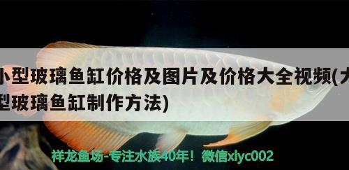 小型玻璃魚缸價(jià)格及圖片及價(jià)格大全視頻(大型玻璃魚缸制作方法) 細(xì)線銀版魚