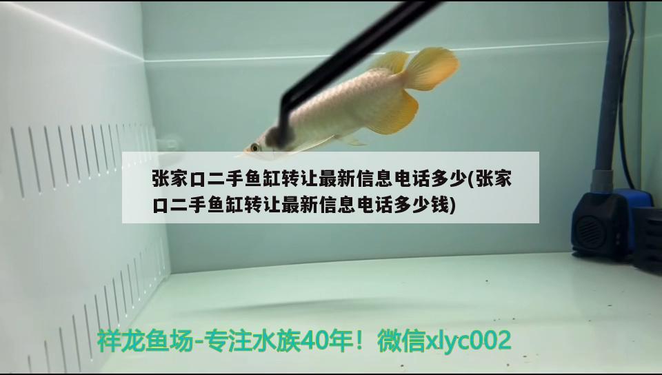 張家口二手魚缸轉(zhuǎn)讓最新信息電話多少(張家口二手魚缸轉(zhuǎn)讓最新信息電話多少錢) 祥龍傳奇品牌魚缸