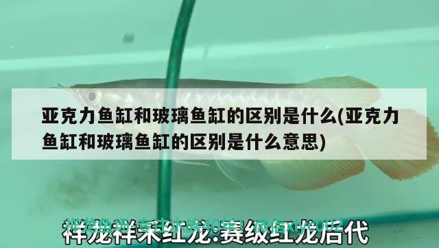 亞克力魚缸和玻璃魚缸的區(qū)別是什么(亞克力魚缸和玻璃魚缸的區(qū)別是什么意思)