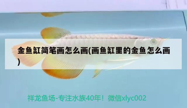 金魚缸簡筆畫怎么畫(畫魚缸里的金魚怎么畫) 玫瑰銀版魚