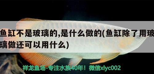 魚(yú)缸不是玻璃的,是什么做的(魚(yú)缸除了用玻璃做還可以用什么)