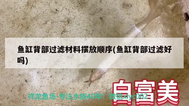 魚缸背部過濾材料擺放順序(魚缸背部過濾好嗎)