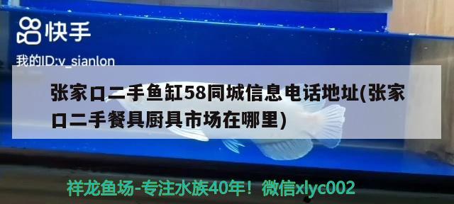 張家口二手魚缸58同城信息電話地址(張家口二手餐具廚具市場(chǎng)在哪里)