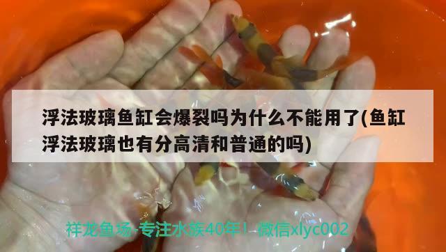 浮法玻璃魚缸會爆裂嗎為什么不能用了(魚缸浮法玻璃也有分高清和普通的嗎) 野生地圖魚