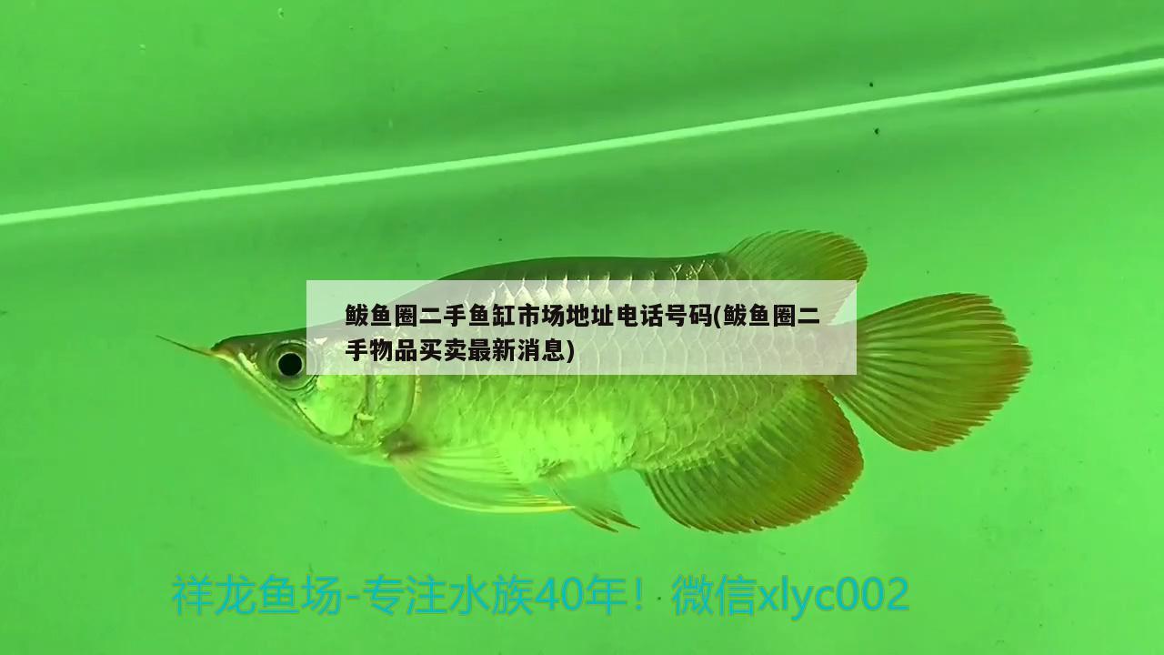 鲅魚圈二手魚缸市場(chǎng)地址電話號(hào)碼(鲅魚圈二手物品買賣最新消息)