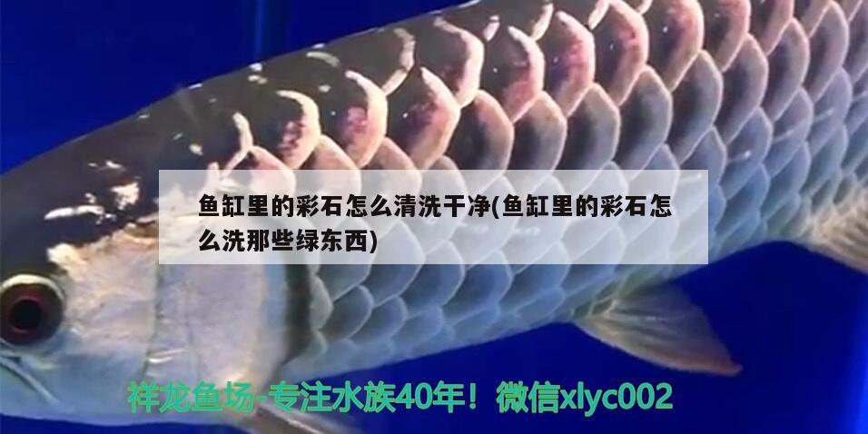 魚(yú)缸里的彩石怎么清洗干凈(魚(yú)缸里的彩石怎么洗那些綠東西)