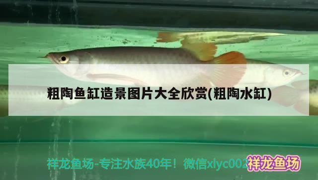 粗陶魚缸造景圖片大全欣賞(粗陶水缸) 魚糧魚藥