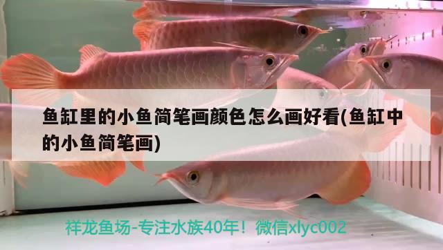 魚缸里的小魚簡筆畫顏色怎么畫好看(魚缸中的小魚簡筆畫)