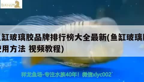 魚(yú)缸玻璃膠品牌排行榜大全最新(魚(yú)缸玻璃膠使用方法視頻教程) 海水魚(yú)（海水魚(yú)批發(fā)）