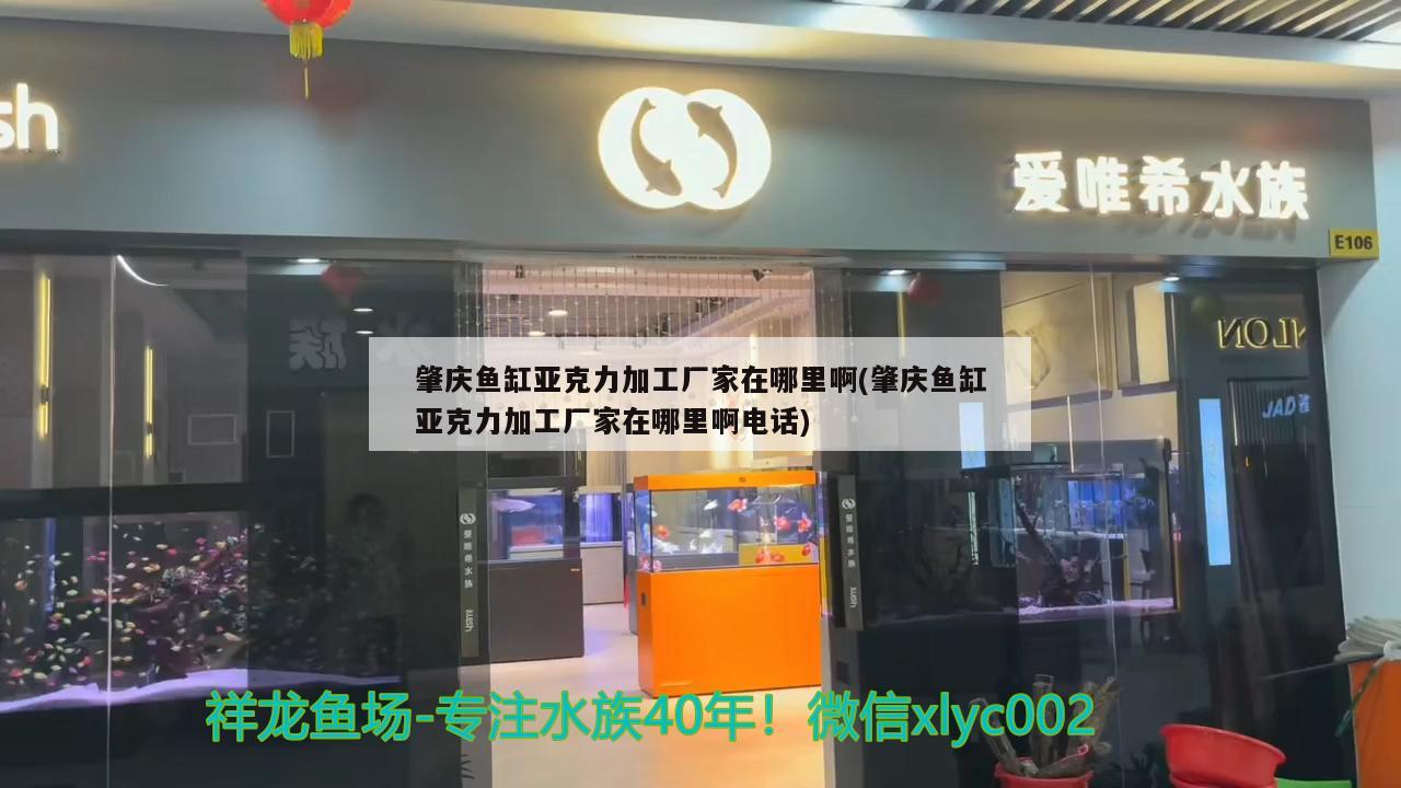 肇慶魚缸亞克力加工廠家在哪里啊(肇慶魚缸亞克力加工廠家在哪里啊電話)