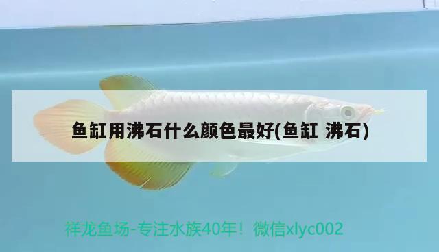 魚(yú)缸用沸石什么顏色最好(魚(yú)缸沸石)