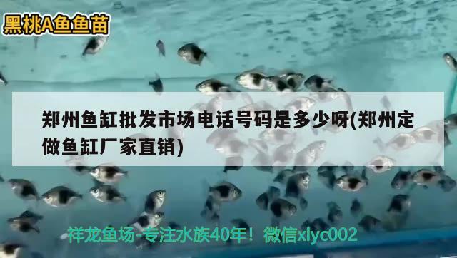 鄭州魚缸批發(fā)市場電話號碼是多少呀(鄭州定做魚缸廠家直銷)