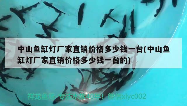 中山魚缸燈廠家直銷價格多少錢一臺(中山魚缸燈廠家直銷價格多少錢一臺的)