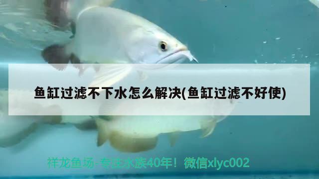 魚缸過濾不下水怎么解決(魚缸過濾不好使) 細線銀板魚苗