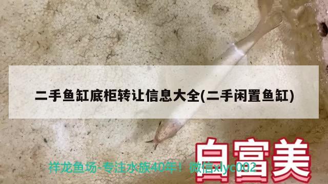 二手魚缸底柜轉(zhuǎn)讓信息大全(二手閑置魚缸) 黑影道人魚