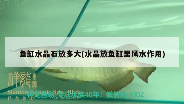 魚(yú)缸水晶石放多大(水晶放魚(yú)缸里風(fēng)水作用) 魚(yú)缸風(fēng)水